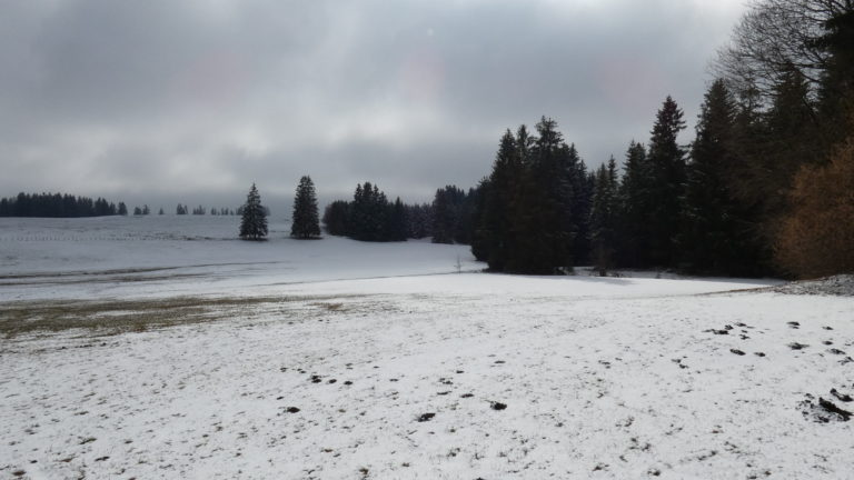 Bavarian landscape