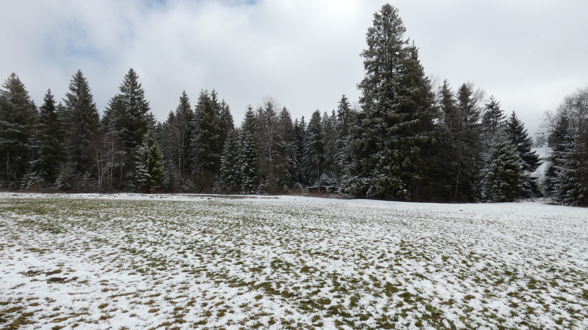 Neuschwanstein Manor landscape